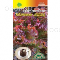 салат витаминный шоколад цветущий сад