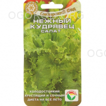 салат нежный кучерявец сибирский сад
