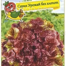 салат уно  моменто сибирский сад
