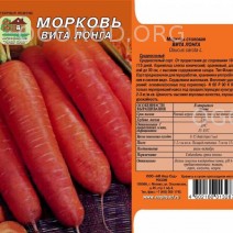 Морковь Вита Лонга