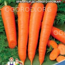 Морковь Гиганто Росса