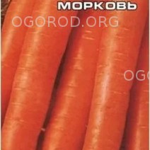 Морковь Самсон (Голландия)