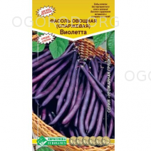 Фасоль Виолетта Евро-Семена